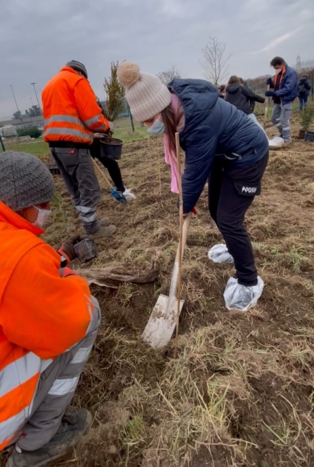 Più di 5mila alberi per rendere più verdi le aree urbane