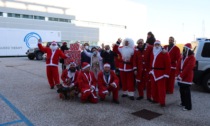 I Gloster in sella per portare un sorriso ai bambini in ospedale