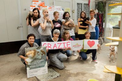 Ladri senza scrupoli rubano materiale edile dal cantiere del gattile