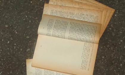 Di nuovo distrutta la casetta dei libri