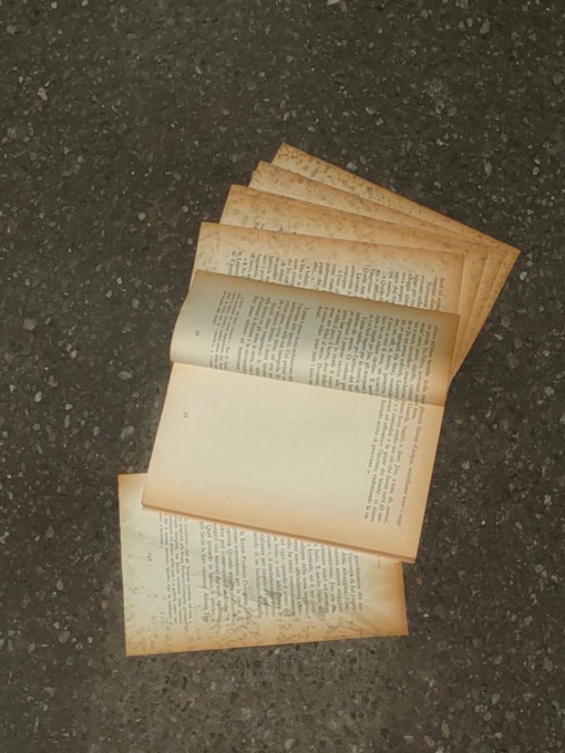 Di nuovo distrutta la casetta dei libri