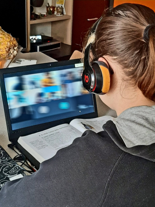 Sciopero per chiedere la Dad