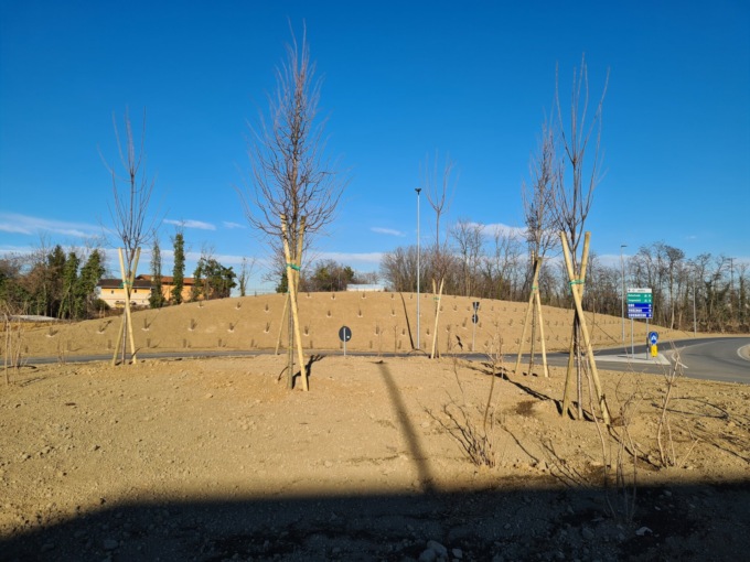 Pregnana più verde, piantati 300 alberi