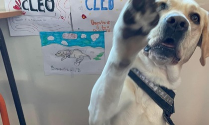 A scuola con il cane, l'esperimento a Seguro