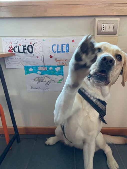 A scuola con il cane, l’esperimento a Seguro