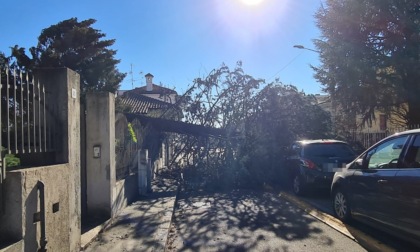 Vento e alberi caduti: in un anno oltre 7mila interventi in Lombardia
