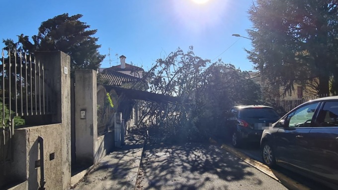 Vento e alberi caduti: in un anno oltre 7mila interventi in Lombardia