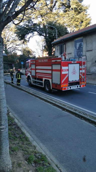 Dairago, albero secolare caduto