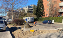 Lavori in via Capuana: arrivano ottanta nuovi alberi