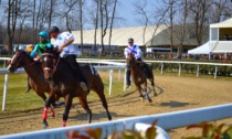 Allenamento in pista per fantini e cavalli del Palio di Legnano