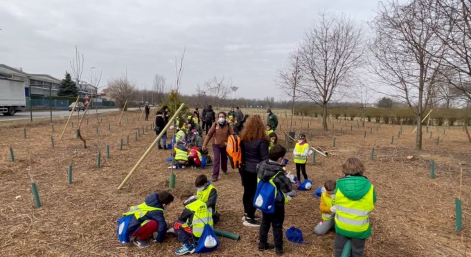 Grazie a “Forestami” seimila nuovi alberi in arrivo