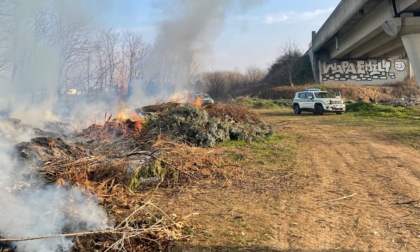 Siccità: a fuoco sterpaglie e rovi vicino all'autostrada