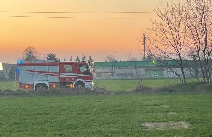 Cavo elettrico si stacca e incendia il bosco