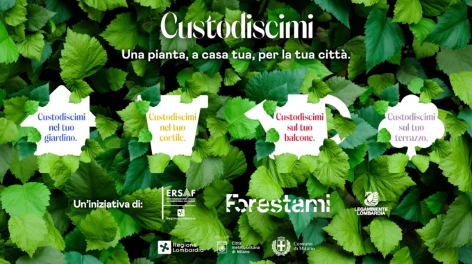 Duemila piantine in regalo ai cittadini per rendere più verdi le città