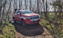 Incendio nel sottobosco, colpa della siccità