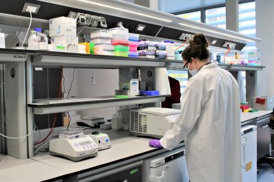 Human technopole apre i laboratori e il Galeazzi raggiunge i 90 metri d’altezza