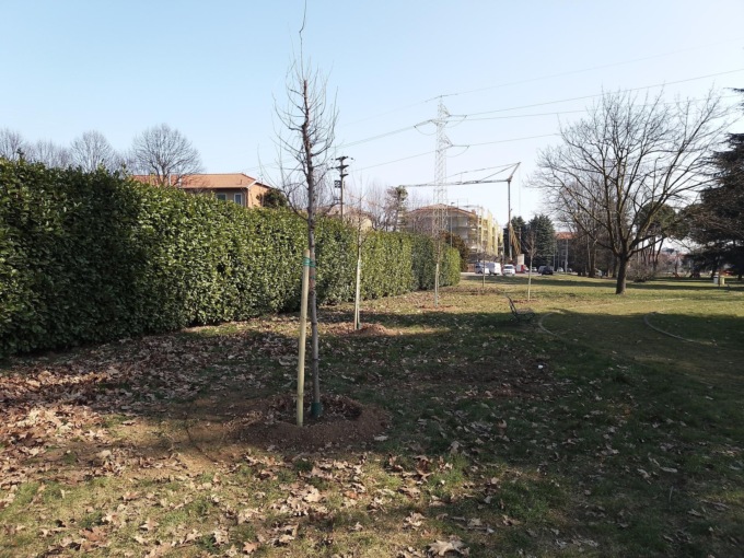 Decine di nuovi alberi grazie all’associazione Gentile