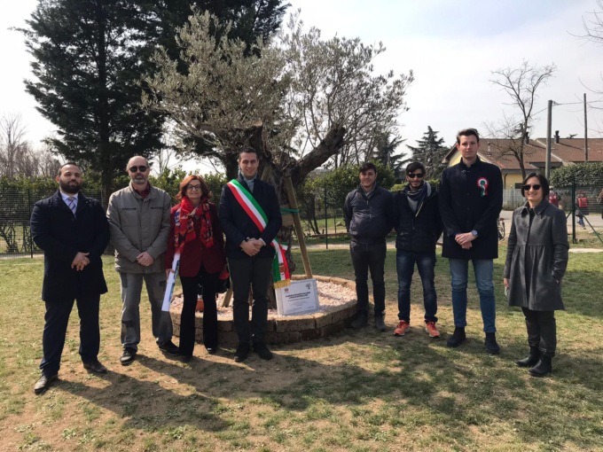 Un ulivo e una targa per ricordare Falcone e Borsellino