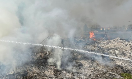 Rovi e sterpaglie in fiamme, bruciati 1500 metri quadrati di verde