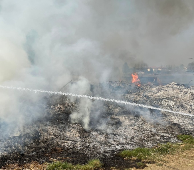 Rovi e sterpaglie in fiamme, bruciati 1500 metri quadrati di verde