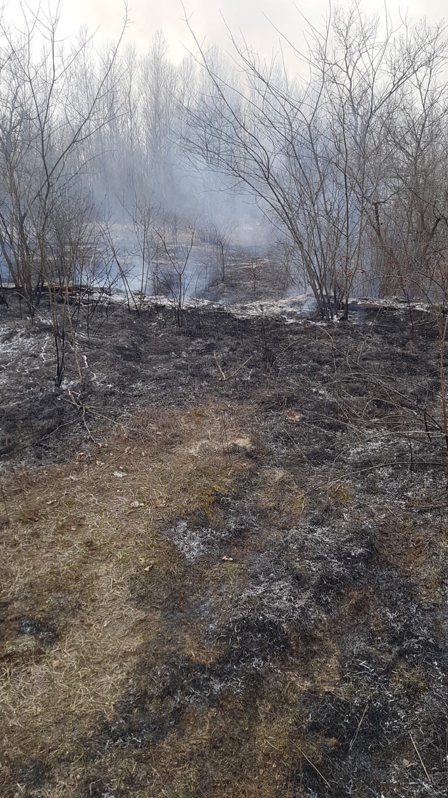 turbigo incendio boschi ticino tre salti vigili del fuoco volontari inveruno