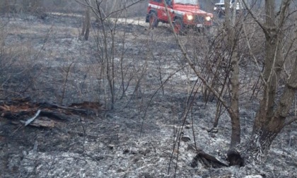 Incendio nei boschi del Ticino, distrutti 6mila metri quadrati di verde