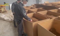 Sequestrata fabbrica clandestina di sigarette: quintali di tabacco contraffatto