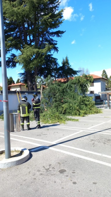 Vento forte: grossi rami caduti a terra