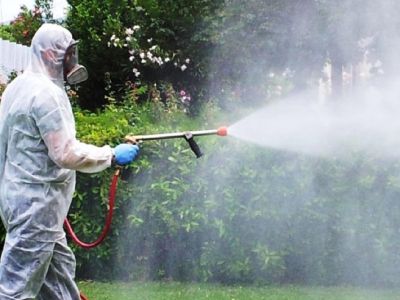 Inizia la lotta contro le zanzare con gli interventi di disinfestazione