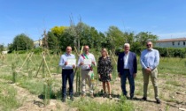 Nasce un nuovo bosco urbano con 1100 piante