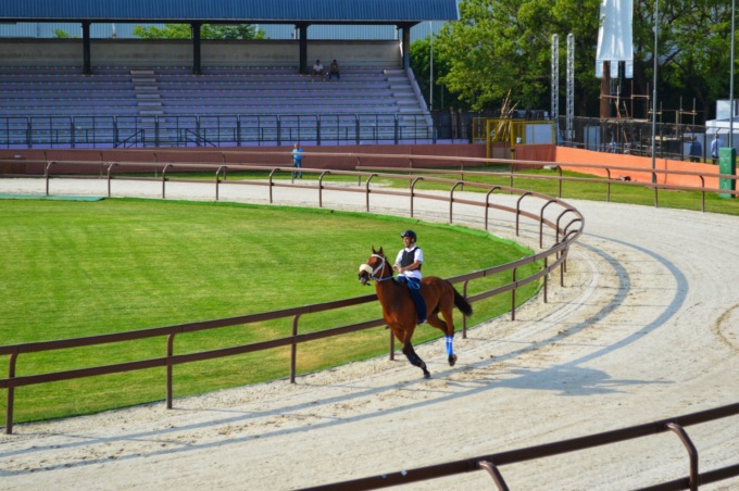 Prove ufficiali, sale la febbre del Palio