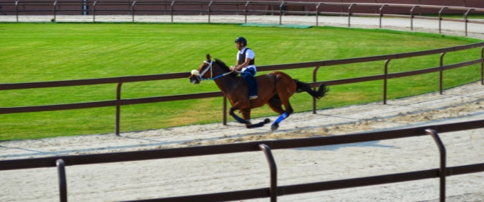 Prove ufficiali, sale la febbre del Palio
