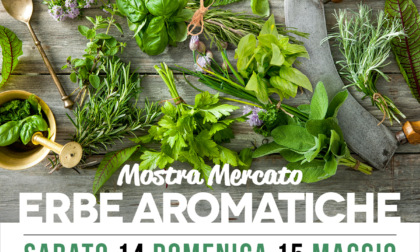 A piazza Portello arriva un weekend dedicato alle erbe aromatiche