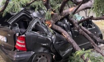 Albero colpito da un fulmine crolla e schiaccia un'auto