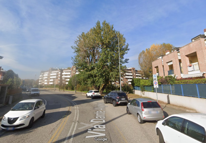 Albero pericolante, il Comune ordina l’abbattimento