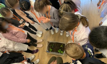 "Un seme alla volta": il progetto di inclusione che "nutre" le scuole