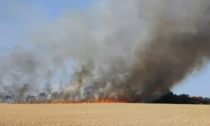Campo di grano in fiamme, circolazione treni interrotta