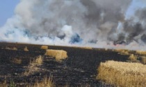 Siccità: campo di grano bruciato da un incendio