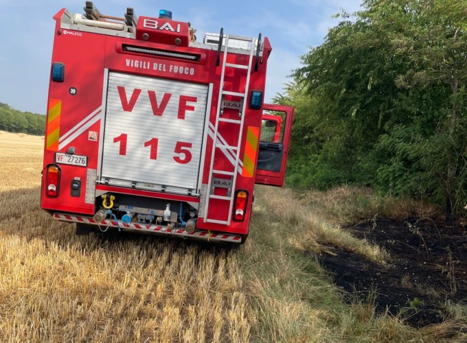 Bosco in fiamme, distrutti 700 metri quadrati
