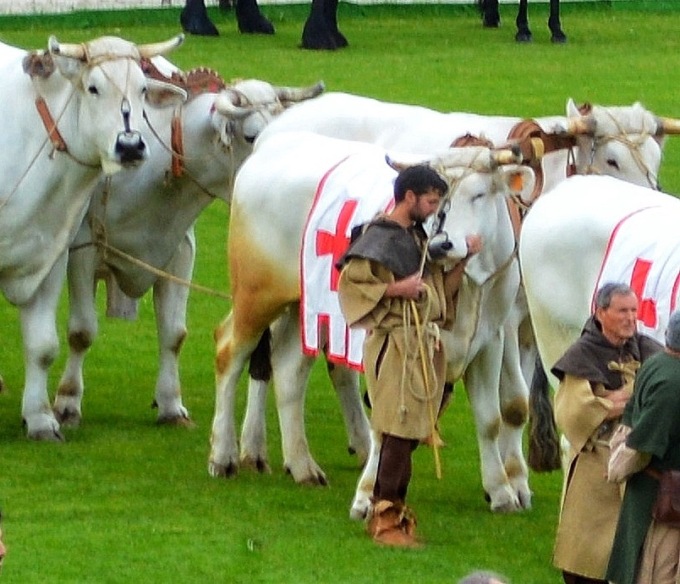 Un abbraccio che rimarrà nella storia del Palio