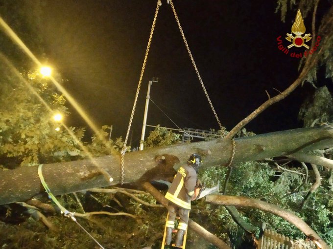 Alberi sui binari: circolazione sospesa tra Vigevano – Albairate