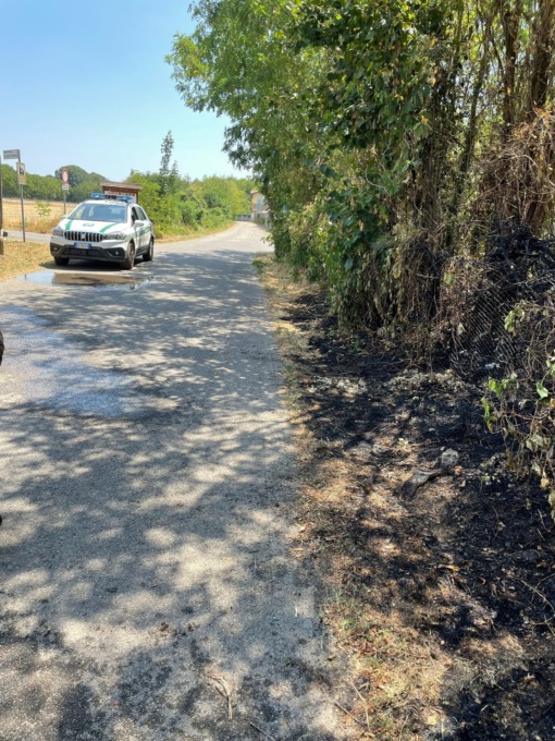 Incendio di sterpaglie, 350 metri quadri di verde in fumo
