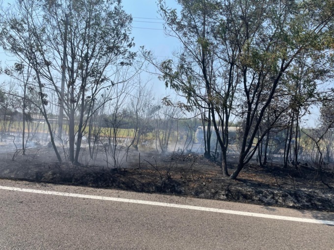 Ennesimo incendio in un campo: l’intervento dei pompieri