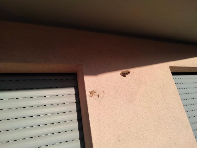 Gli lanciano escrementi sulla sua casa