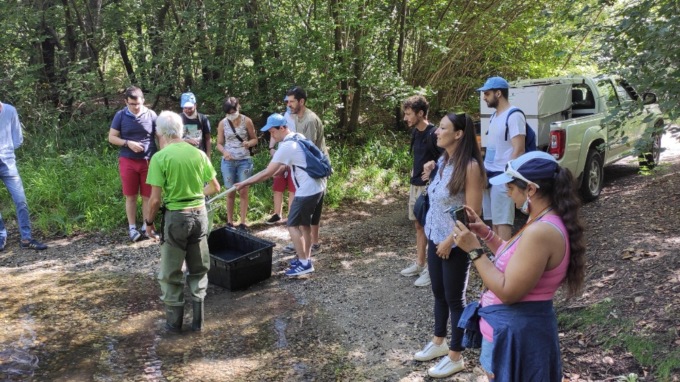 Parco e La Ruota liberano storioni nel Ticino
