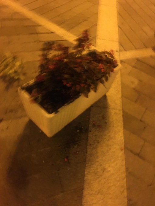 Vandali scatenati, rompono le fioriere e giocano a pallone urlando fino a tarda notte