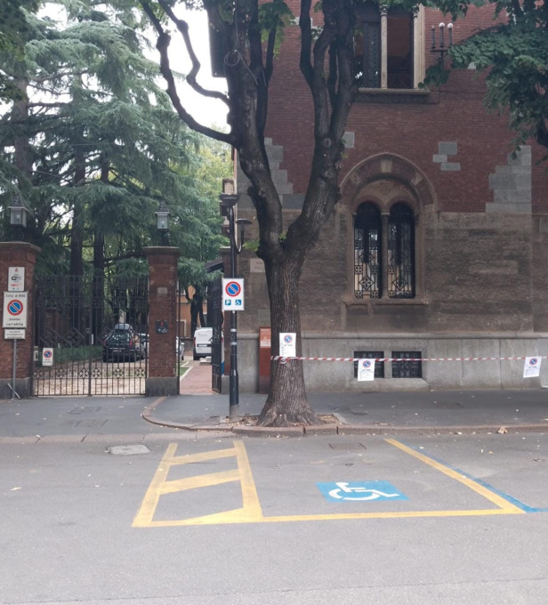 Il vecchio tiglio verrà abbattuto il 2 settembre