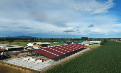 CSC Compagnia Svizzera Cauzioni a supporto delle aziende agricole