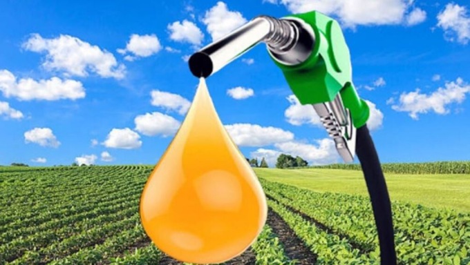 Biocarburanti: perché non convengono?