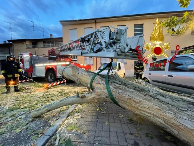 Paura per il vento: albero crolla sulle auto in sosta